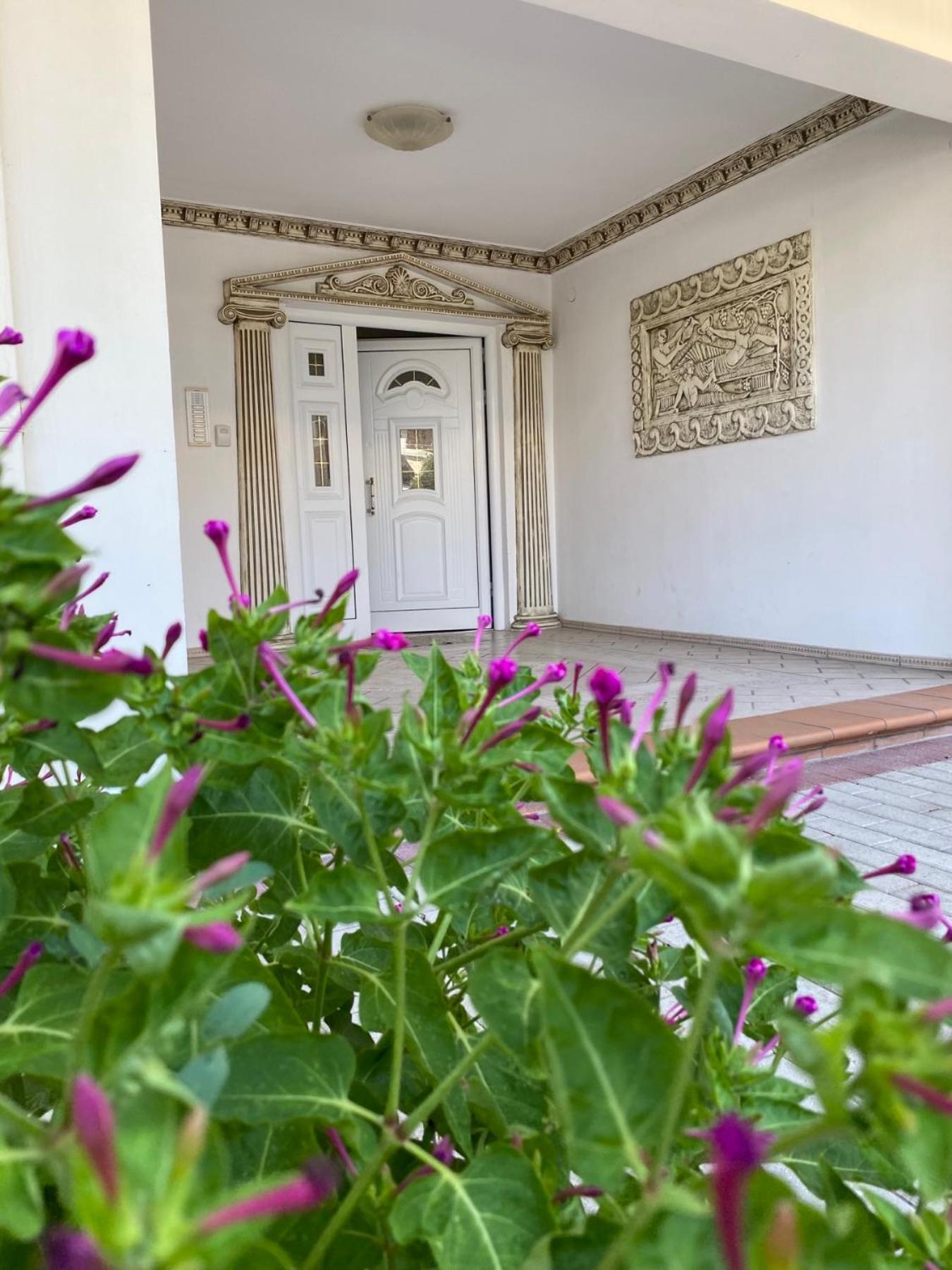 Roula Apartment ネイポリ エクステリア 写真